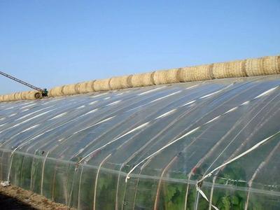 可降解農用地膜覆蓋在農業生產中的作用